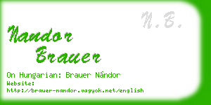 nandor brauer business card
